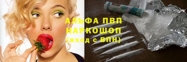 стаф Абинск