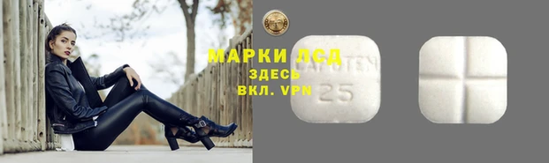 стаф Абинск