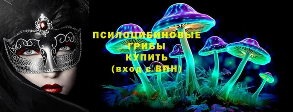 стаф Абинск