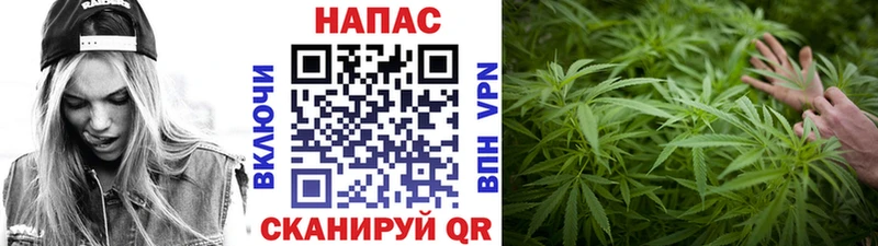Шишки марихуана Amnesia  где купить наркоту  Шимановск 
